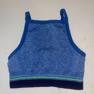 Blue aerie sports bra